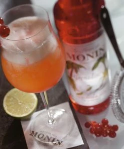 Monin Flavoured Syrups Monin Grenadine Syrup 3 Monin Flavoured Syrups Monin Grenadine Syrup -Delicacies shop unnamed file 204