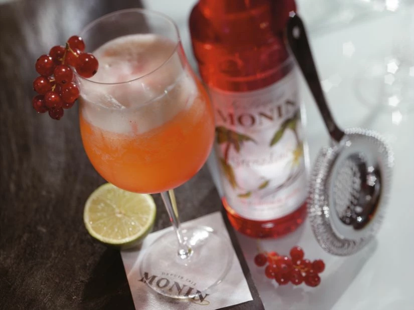 Monin Flavoured Syrups Monin Grenadine Syrup 2 Monin Flavoured Syrups Monin Grenadine Syrup - Image 2