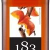 Maison Routin 1883 Flavoured Syrups Maison Routin 1883 Pumpkin Spice Syrup 1000 Ml