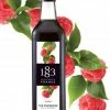 Maison Routin 1883 Flavoured Syrups Maison Routin 1883 Iced Tea Raspberry 1000 Ml